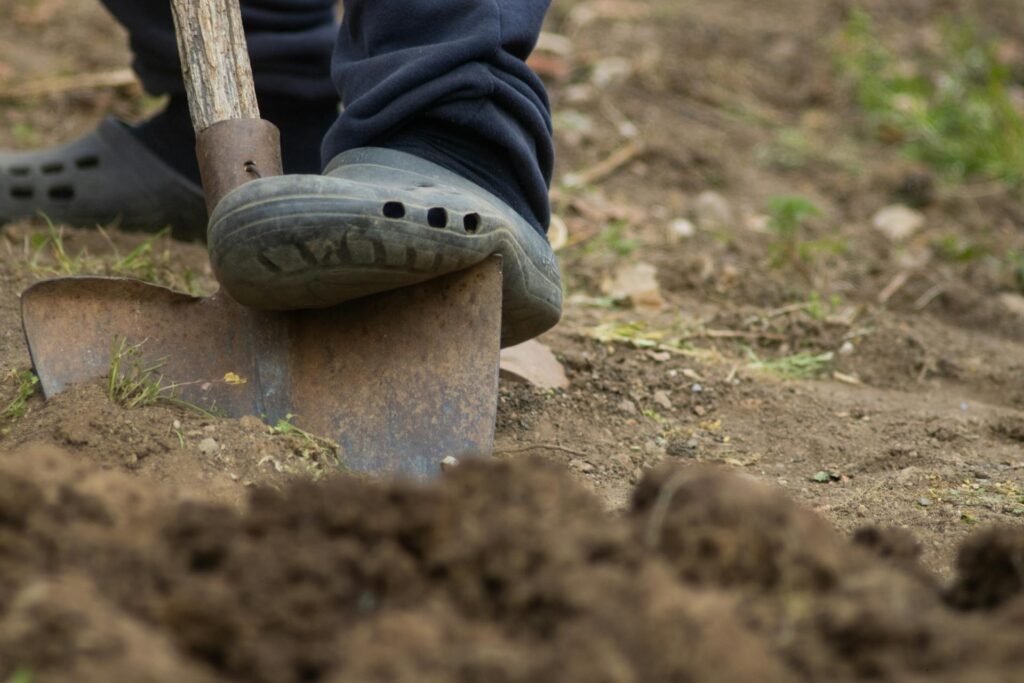 How to Use Bone Meal and Blood Meal for a Greener Lawn